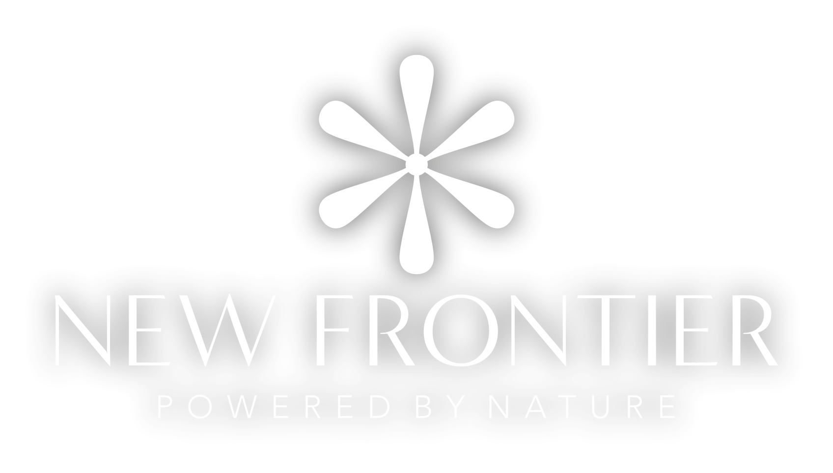 NEW FRONTIER LOGO 1 white and shadow